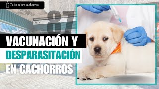 CAPÍTULO 87 💉🦠 Vacunación y desparasitación del cachorro [upl. by Sudbury970]