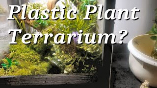 Plastic Plant Terrarium [upl. by Nyvrem]