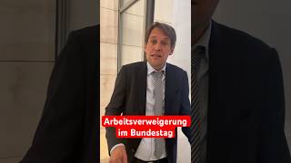 Arbeitsverweigerung im Bundestag  Dr Götz Frömming und Stephan Brandner AfD [upl. by Enedan]