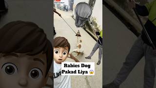 Rabies Dog Pakad Liya 😱  minivlog [upl. by Ensoll681]