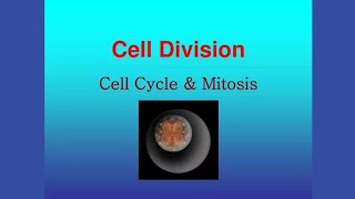 cell cycle M phase Mitosis  Class 9th  Chapter 05  Explain in Hindi and urdu [upl. by Eerrehc]