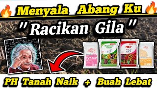 💥 Racikan Gila 💥 PH Tanah Asam Berubah Jadi Netral Cuma Pakai Pupuk ‼️ PH Tanah Naik Tanpa Kapur � [upl. by Trainer819]