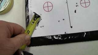 Pellet testing the Gamo Silent Cat  Pelletonix [upl. by Yurt409]