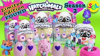 Hatchimals CollEGGtibles Season 2 Limited Edition Found  Find Golden Hatchimal Egg Surprise SGL [upl. by Jaymee]