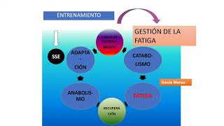 Sistemas energéticos en el ejercicio Prescrip 2023 [upl. by Tanner]