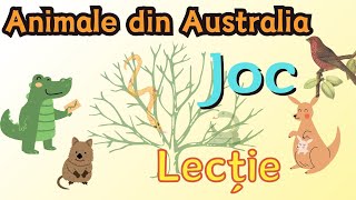 Animale din Australia Lecție și joc pentru copii [upl. by Cerell684]