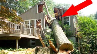 Dangerous Idiots Tree Felling Fails With Chainsaw  Biggest Removal Fails Tree Falling On Houses [upl. by Bitthia669]