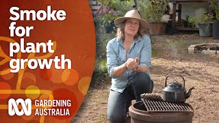 Simple ways to use smoke for better plant growth  Gardening 101  Gardening Australia [upl. by Einafit32]