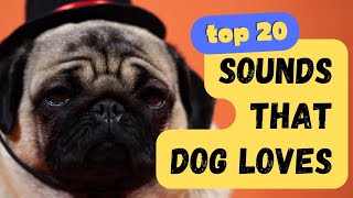 Top 20 Sounds that Dogs Love  Keep them tilting their heads for hours [upl. by Ekeiram]