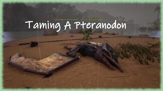 Episode Nine Taming A Pteranodon  Ark Survival Evolved  The Island [upl. by Kant594]