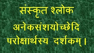 Sanskrit Sloka Meaning  Aneka Samshayo Chchhedi [upl. by Ojytteb]