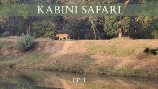 Kabini Safari  Tiger Sighting  EP  1 [upl. by Essej]