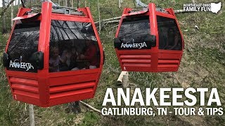 Anakeesta Gatlinburg TN Video Tour amp Things to Know Before You Go [upl. by Illil]