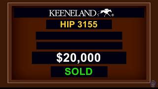 Keeneland Live Feed [upl. by Dituri101]