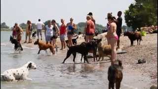 Hundestrand 07 Juli 2013 [upl. by Imoen41]