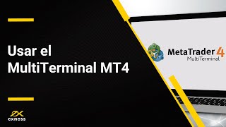 Cómo usar el MultiTerminal MT4  Exness Latam [upl. by Eclud]