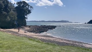 Taiji at Paihia [upl. by Terrene65]