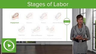 Stages of Labor Stages 1 2 amp 3 of Normal Labor – Obstetrics  Lecturio [upl. by Michaud]