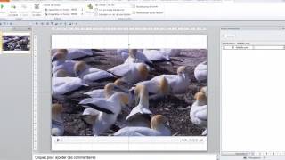 PowerPoint 2010  Options de lecture dun fichier vidéo [upl. by Eltsirhc200]