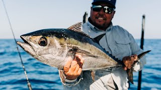 Guidelines  Blackfin Tuna Fishing with Capt Jason Stock [upl. by Bernadina759]