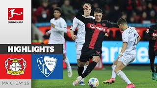 Schick With HatTrick  Bayer 04 Leverkusen  VfL Bochum 40  Highlights  MD16 – Bundesliga 2324 [upl. by Warrick]