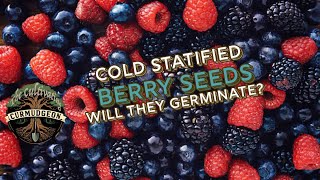 Unlocking Seed Germination with Cold Stratification  will it work [upl. by Ahsekel178]