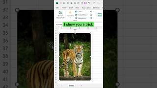 How to remove image background in excel shorts ytshorts excelshorts [upl. by Iah]