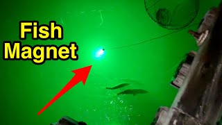 Night fishing with LED light  tips amp tricks [upl. by Ailegnave]