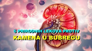 6 PRIRODNIH LEKOVA PROTIV KAMENA U BUBREGU [upl. by Hawk]