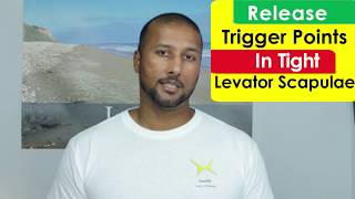 The Evil Trigger Point Levator Scapulae Soreness [upl. by Kcinimod]