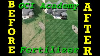 Before and After Fertilizer Results  I Did Not Use Milorganite This Time [upl. by Amalburga654]