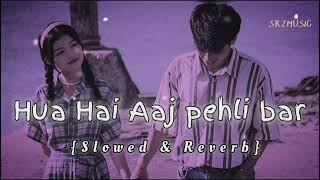 Hindi Sad SongHua Hai Aaj Pahli Baar SlowedReverb Lofi Song relaxingmusic [upl. by Ardyth]