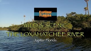 Explore Florida Wild amp Scenic Loxahatchee River [upl. by Nospmis844]