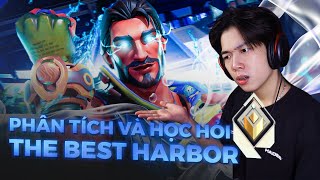 NƯỚC NÔI LÊNH LÁNG KHI XEM TOP 1 HARBOR THẾ GIỚI THỊ PHẠM [upl. by Eelorac870]