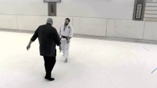 Aikido Release Chains Free Play 2 [upl. by Mott828]