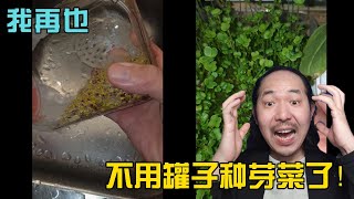 381 罐子芽菜vs叫兽芽菜，我才是真正的芽菜之王有木有？真正省心、省力、省钱的芽菜种法  投笔从农朱叫兽 [upl. by Kannan]