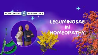 Leguminosae in Homeopathy [upl. by Anialam492]