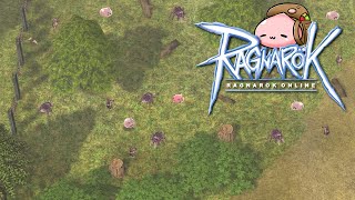 Lighthalzen Fields  CheongChoon 1 Hour Ragnarok Online Music amp Ambience [upl. by Alletneuq980]