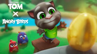 Talking Tom X Angry Birds Now You See Egg [upl. by Dickinson278]