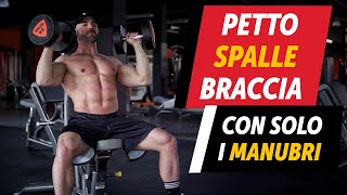 Petto spalle bicipiti allenamento con manubri a casa [upl. by Hild]