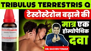 Testosterone increase best homeopathic medicine Tribulus Terrestris Benefits Q Best Uses in Hindi [upl. by Alyks869]