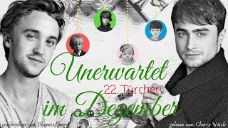 22 Türchen  Adventskalender 2019 [upl. by Ardek544]