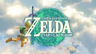 The Legend of Zelda Tears of the Kingdom 1 [upl. by Dadirac]