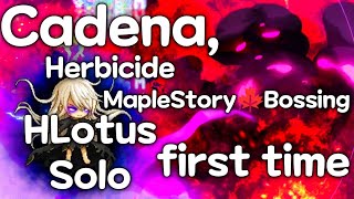 Cadena First Time Solo · Hard Lotus · MapleStory🍁Bossing [upl. by Lavro]