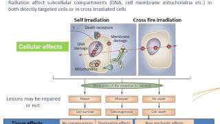 IAEAESNM Webinar  Basic Principles of Radionuclide Therapy and Common Clinical Applications [upl. by Fia271]