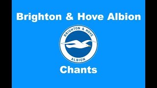 Brighton and Hove Albions Best Football Chants Video  HD W Lyrics [upl. by Africah998]