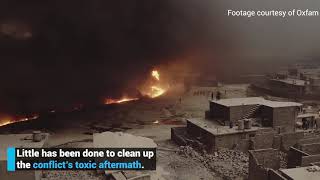 Environmental recovery in Iraq Cleaning up conflict pollution using natural solutions [upl. by Nnyl]