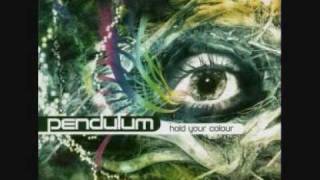 Pendulum  Hold Your Color [upl. by Leisam]