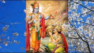 Bhagwad Gita Chapter 2 Verse 38 Explanation amp Analysis [upl. by Neros]