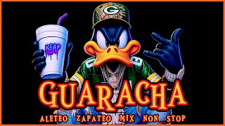 SET GUARACHA MIX 2024 🔥 ALETEO ZAPATEO Party Mix Non Stop 🔥 guaracha partymix remix aleteo mix [upl. by Colombi18]